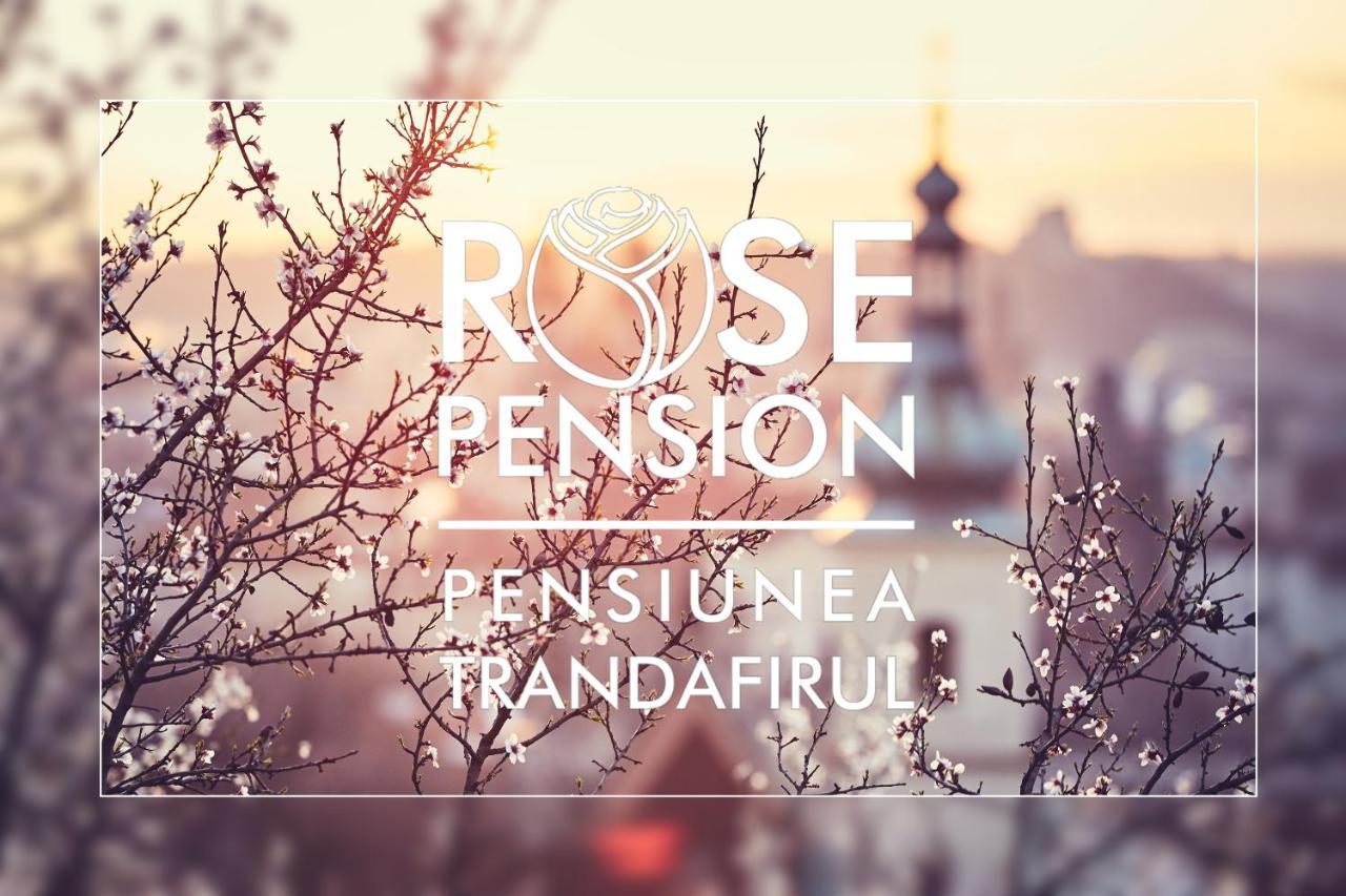 Pension Rose-Trandafirul Borsec Bagian luar foto