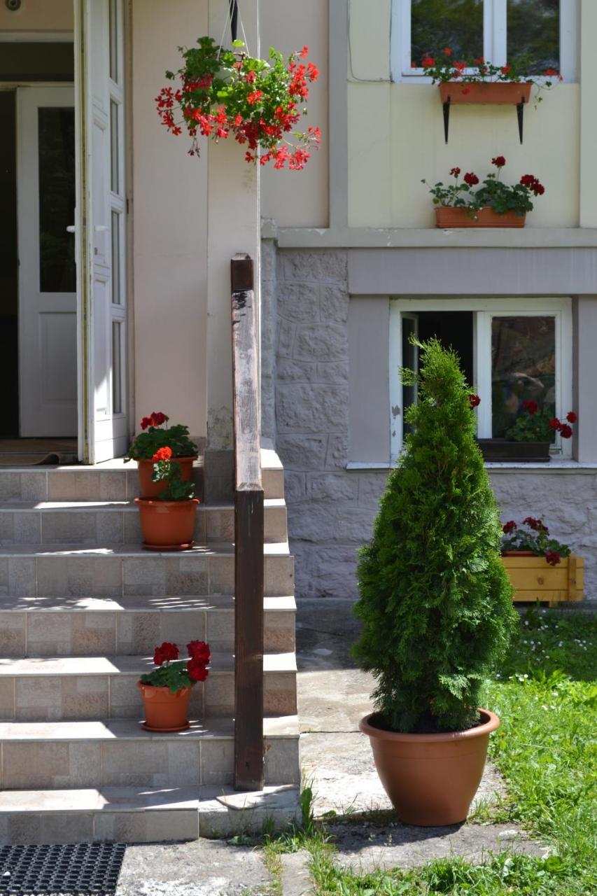 Pension Rose-Trandafirul Borsec Bagian luar foto