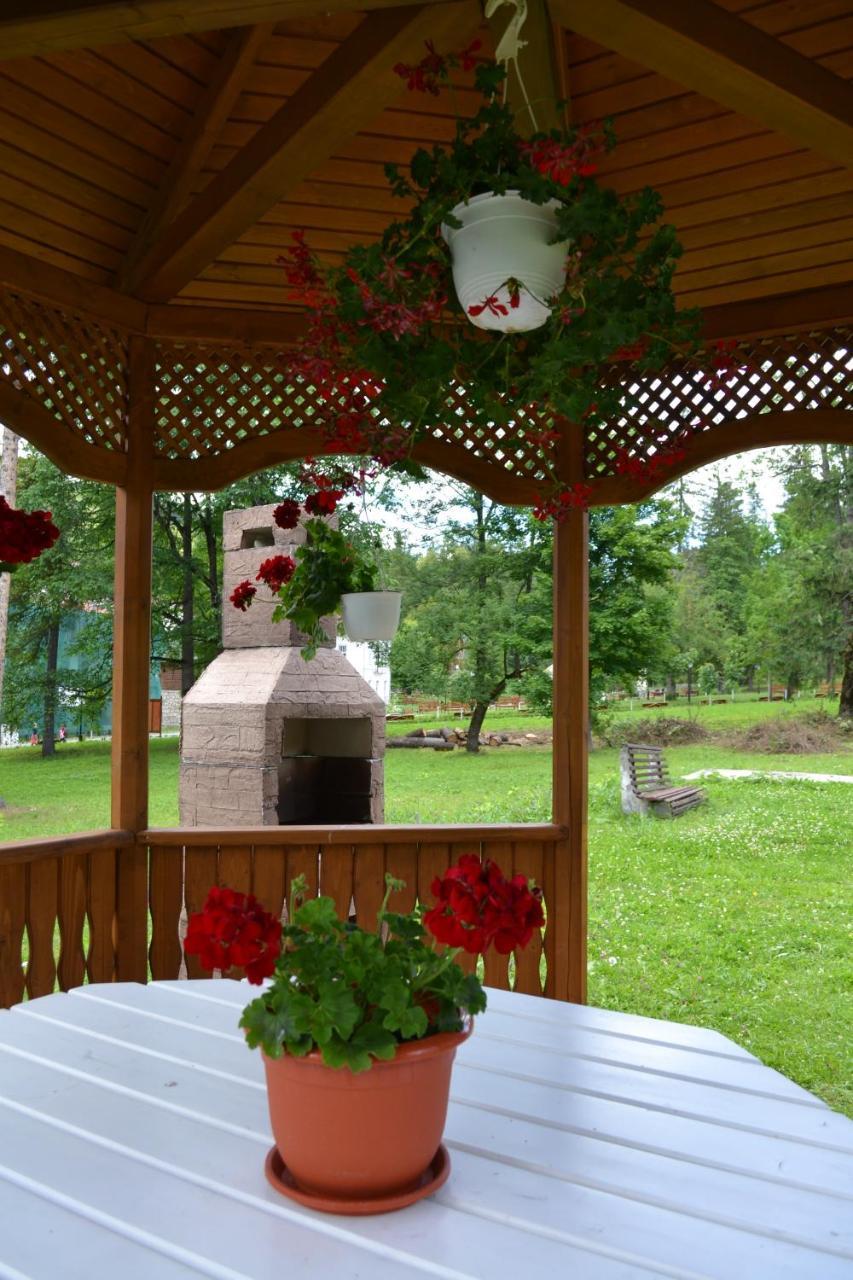 Pension Rose-Trandafirul Borsec Bagian luar foto