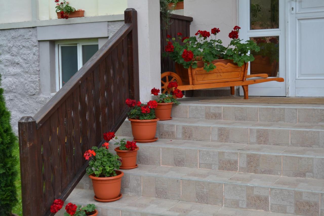 Pension Rose-Trandafirul Borsec Bagian luar foto